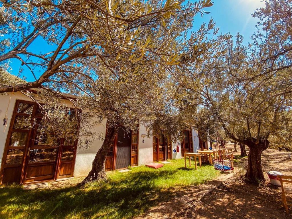Yiva Kazdaglari Hotel Mehmetalani Екстериор снимка