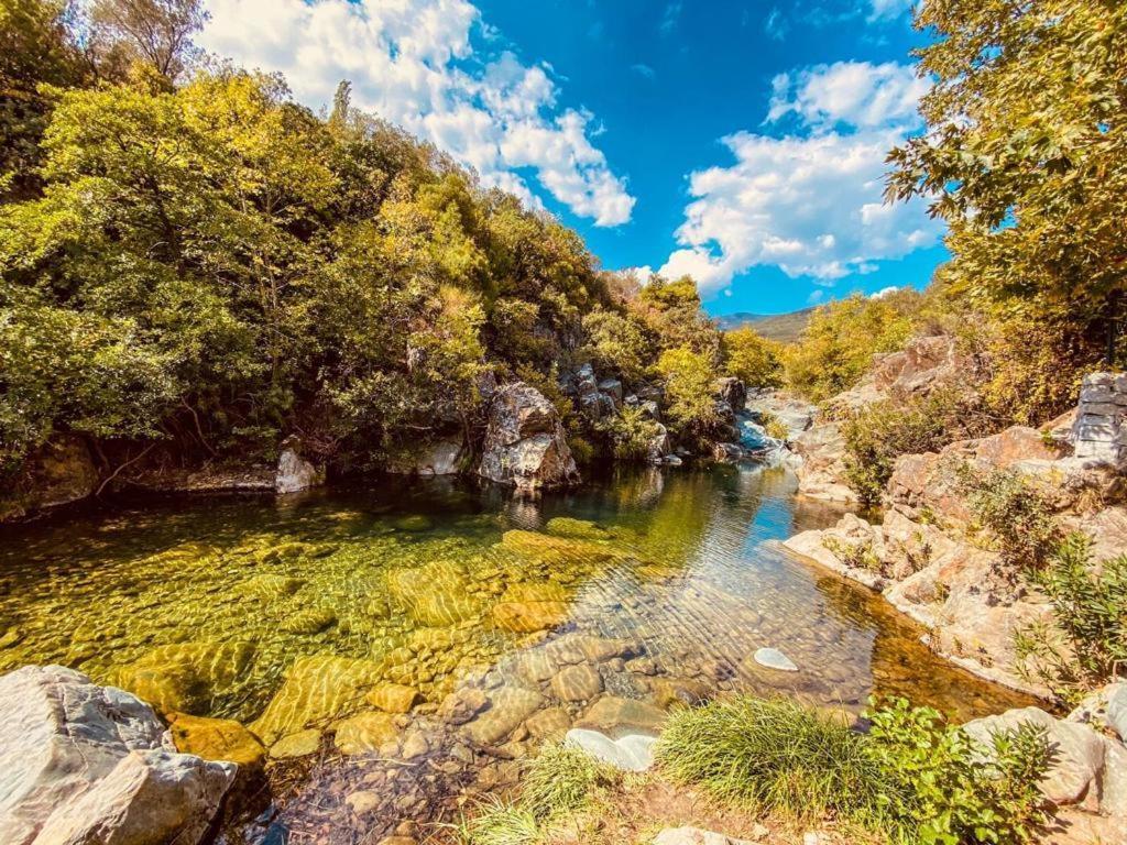 Yiva Kazdaglari Hotel Mehmetalani Екстериор снимка